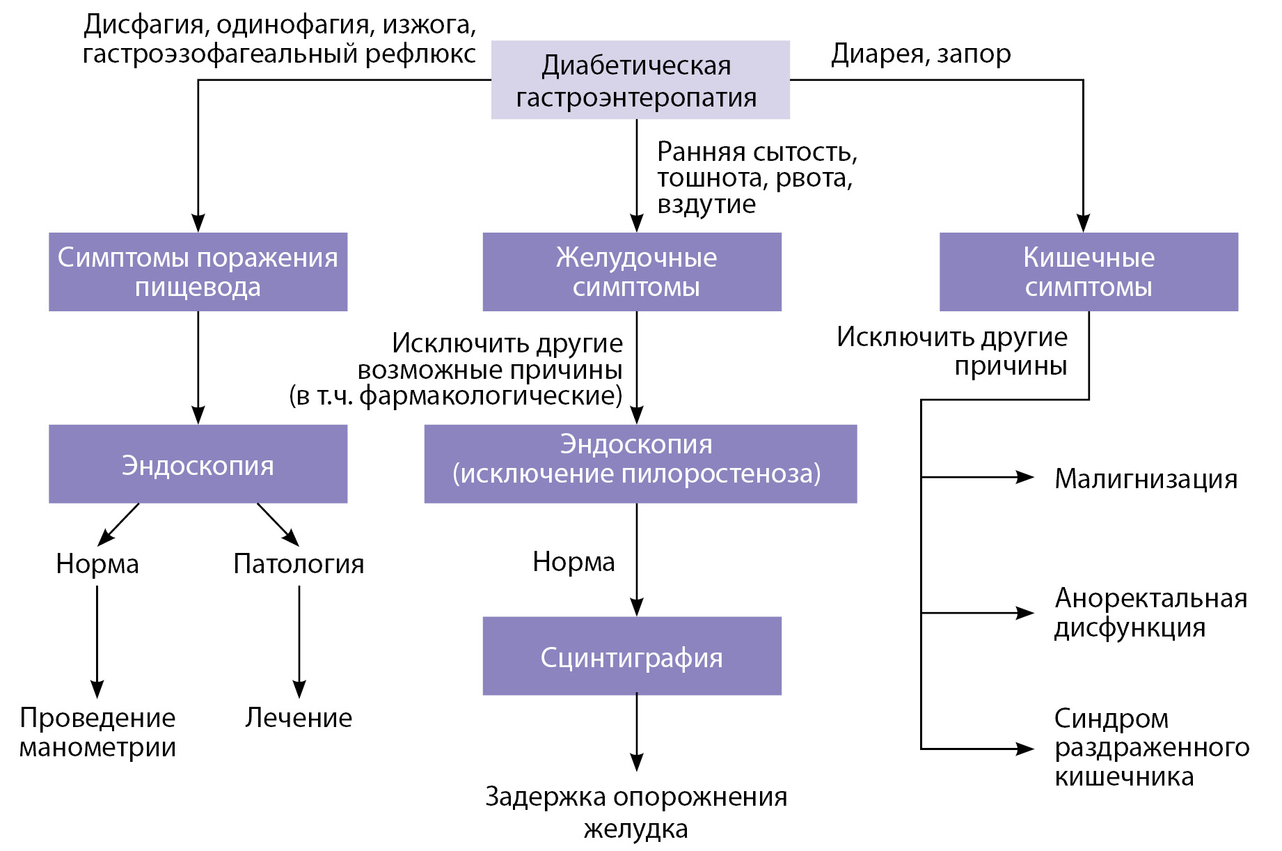 Постоянный понос у мужчины. Диабетическая гастроэнтеропатия. Диабетическая энтеропатия патогенез. Экссудативная энтеропатия патогенез. Острая гастроэнтеропатия.