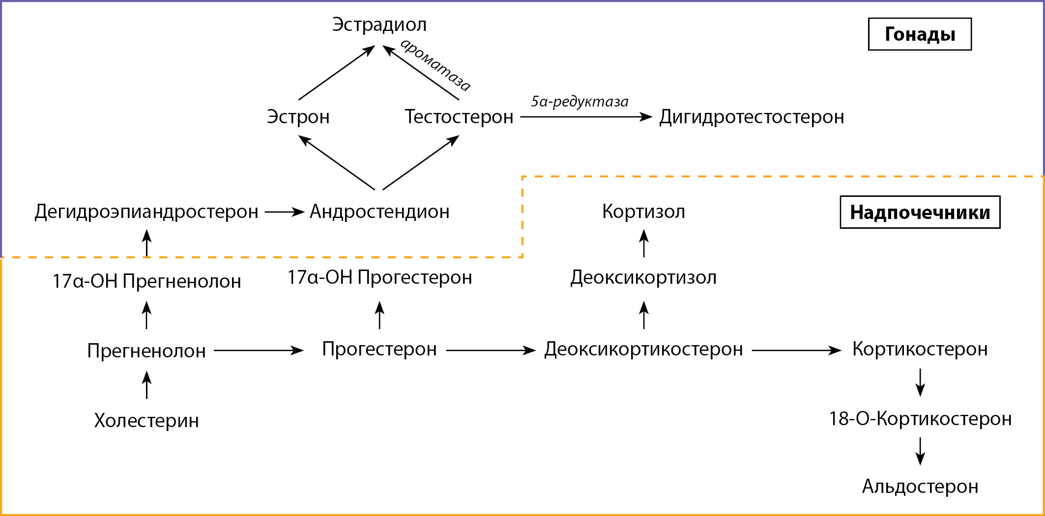 Изображение на обложке
