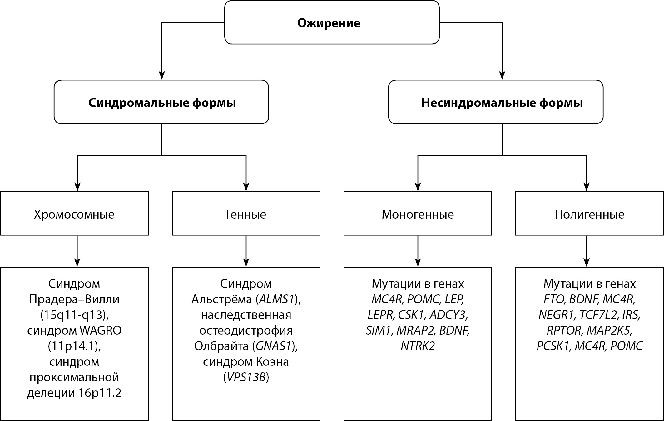 Изображение на обложке