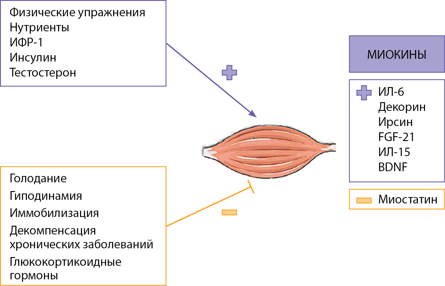 Изображение на обложке