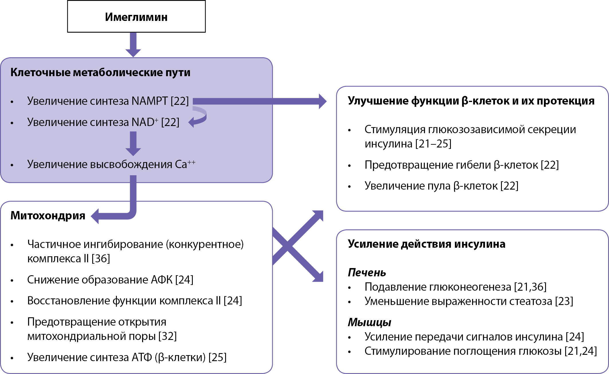 Изображение на обложке