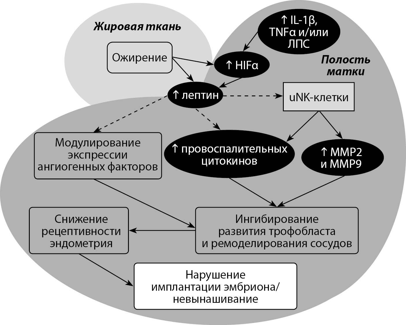 Изображение на обложке