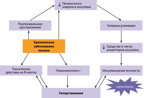 Изображение на обложке