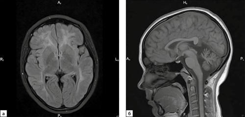 Изображение на обложке