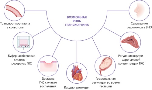 Изображение на обложке