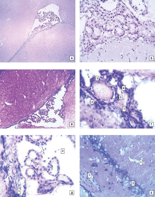 Изображение на обложке