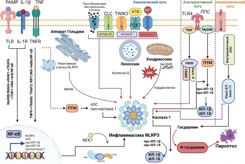 Изображение на обложке
