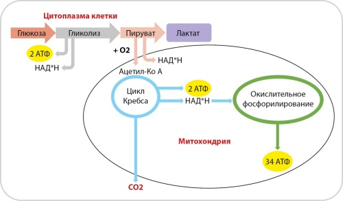 Изображение на обложке