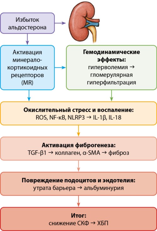 Изображение на обложке