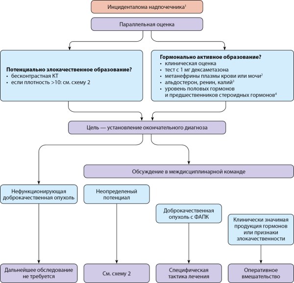 Изображение на обложке