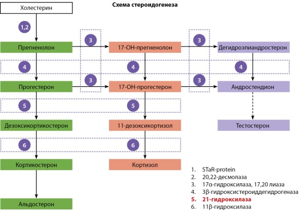 Изображение на обложке